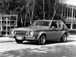 AMC Gremlin 2-Door Custom Sedan Pkg.X 1975 года